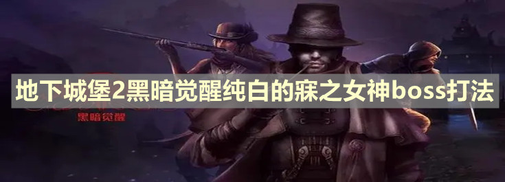 《地下城堡2：黑暗覺醒》純白的寐之女神boss打法介紹