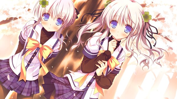 幸運(yùn)草的約定