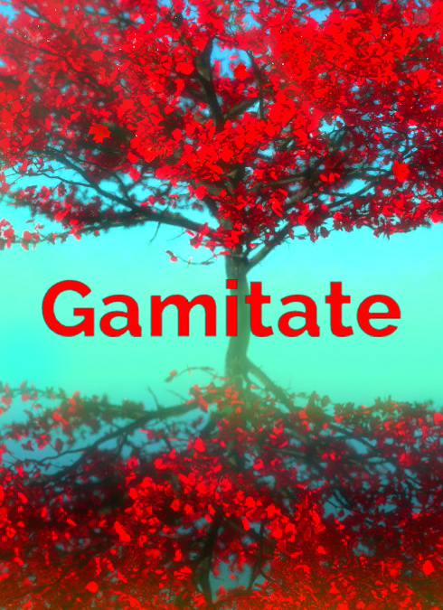 Gamitate：冥想游戲破解版