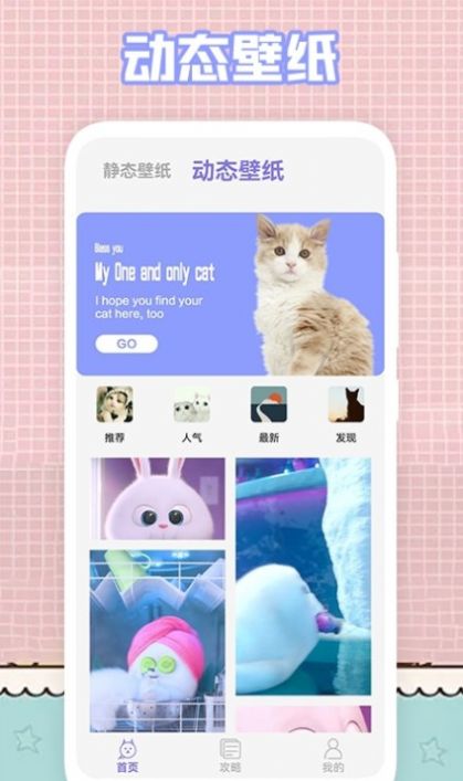 我的貓咪