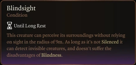《博德之門3》精確實現盲視術MOD
