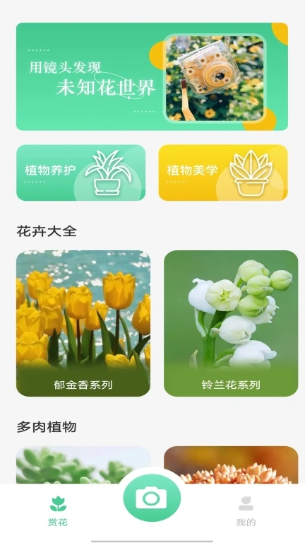 拍照識別植物弛意版