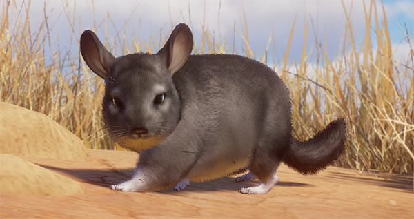 《動物園之星》增添新物種絨毛絲鼠MOD[支持v1.13版]