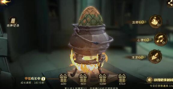 《哈利波特：魔法覺醒》寢室龍蛋玩法分享