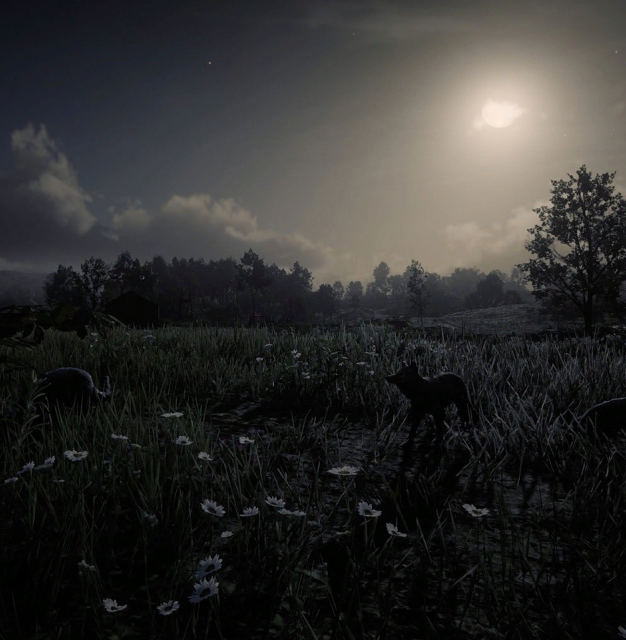 《Wallpaper Engine》荒野大鏢客-夜晚郊外高清動態(tài)壁紙