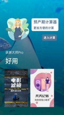 錄屏大師Pro