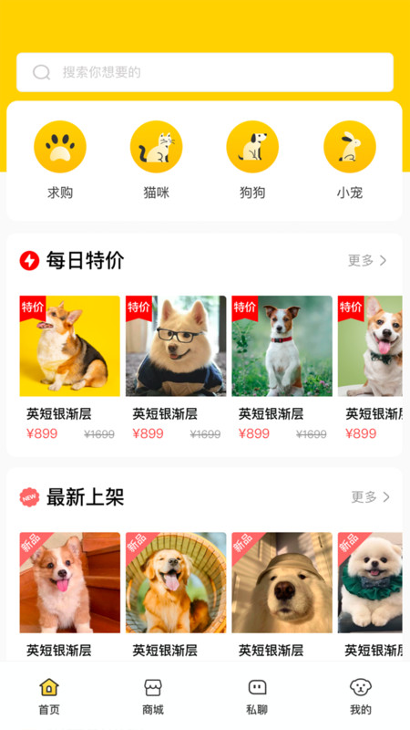 閑小寵