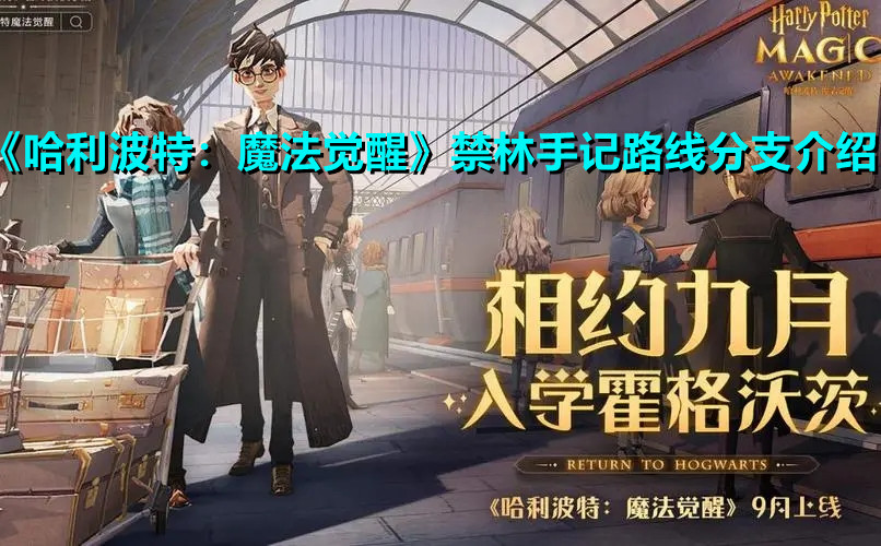 《哈利波特：魔法覺醒》禁林手記路線分支介紹