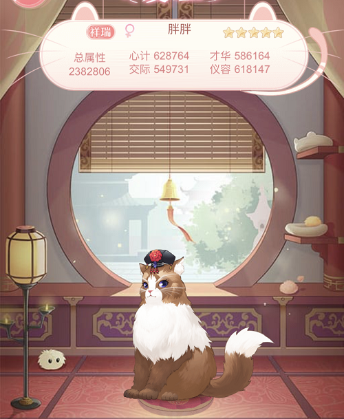 《愛江山更愛美人》養(yǎng)貓攻略技巧
