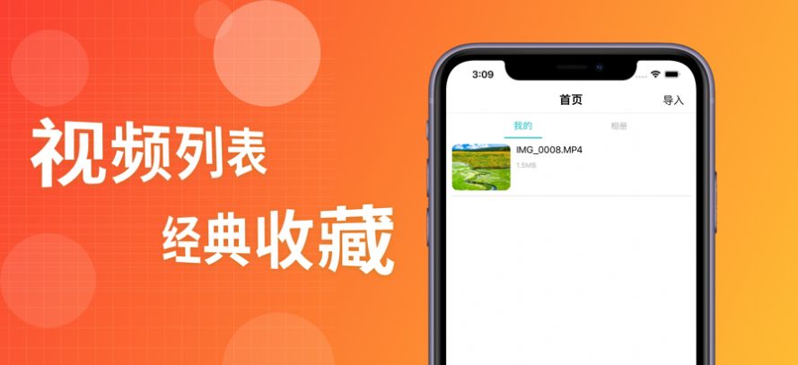 銀樹木視頻播放器
