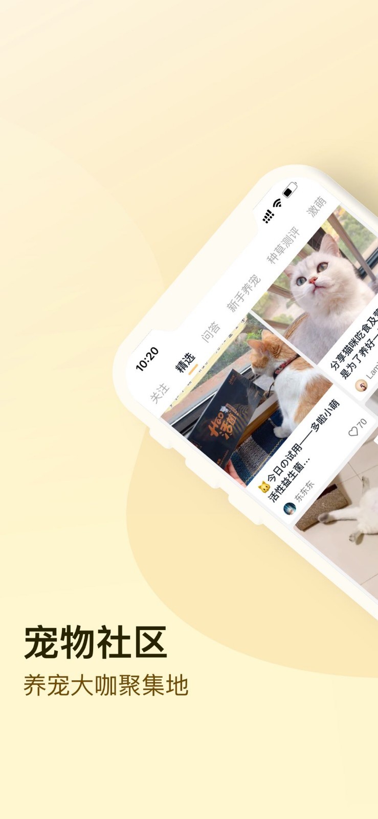 小萌貓