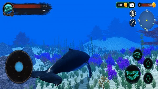 海洋動物世界