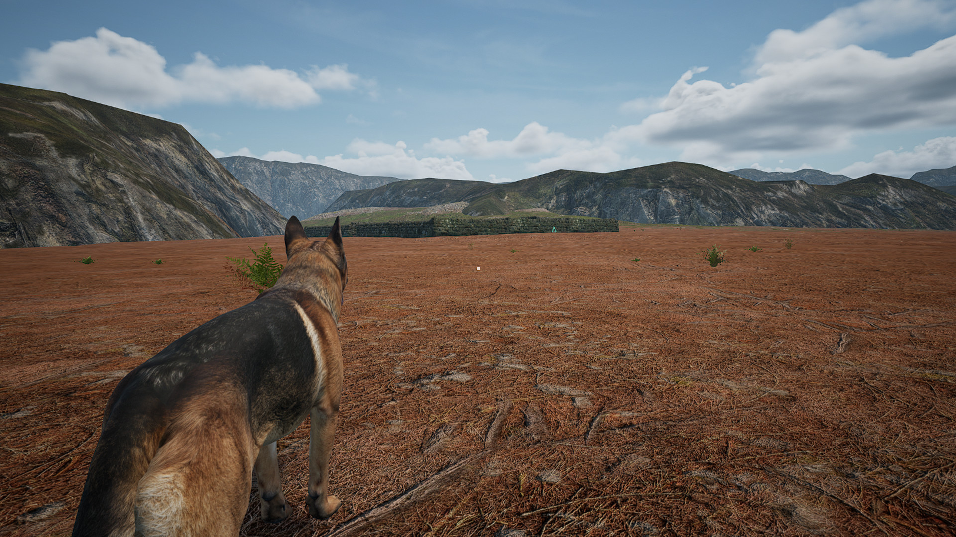 狗 · 狐貍 · 兔子中文版