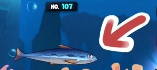 《魚吃魚》第八海域幾內亞灣普通魚解鎖攻略