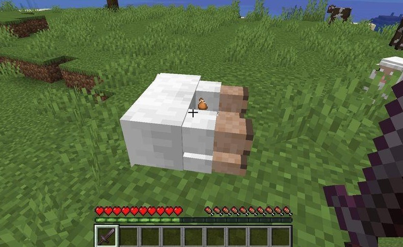 《我的世界》1.16.5掉落物不拾取生物尸體不消失MOD