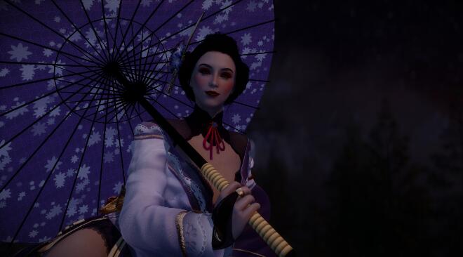 《上古卷軸5：天際重制版》藝伎武士隨從MOD
