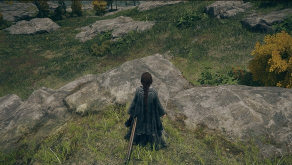 《艾爾登法環》墨綠色指頭女巫長袍MOD