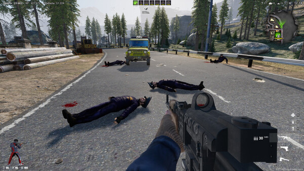 無政府狀態：沃爾夫定律