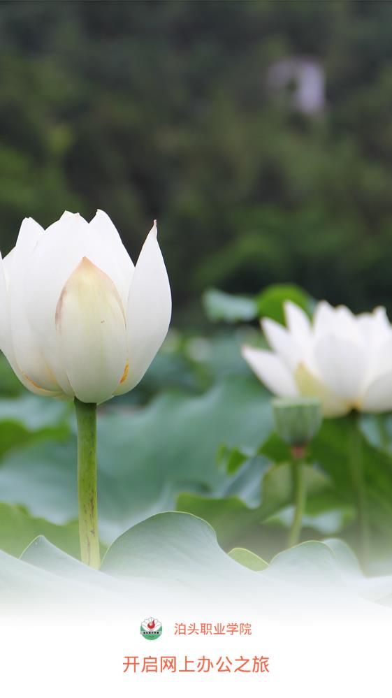 泊頭職業(yè)學(xué)院