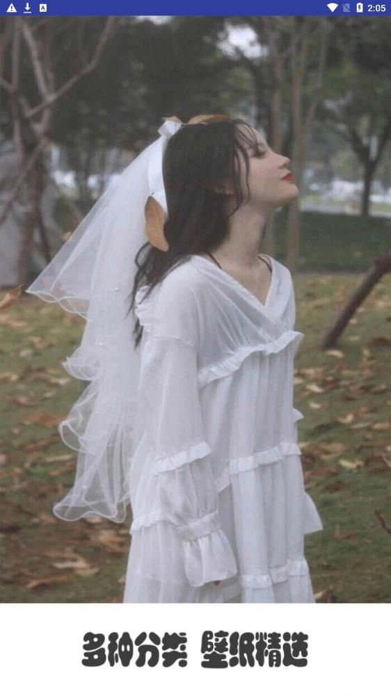 手機(jī)屏幕壁紙
