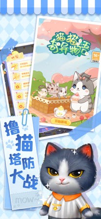 貓貓奇異物語