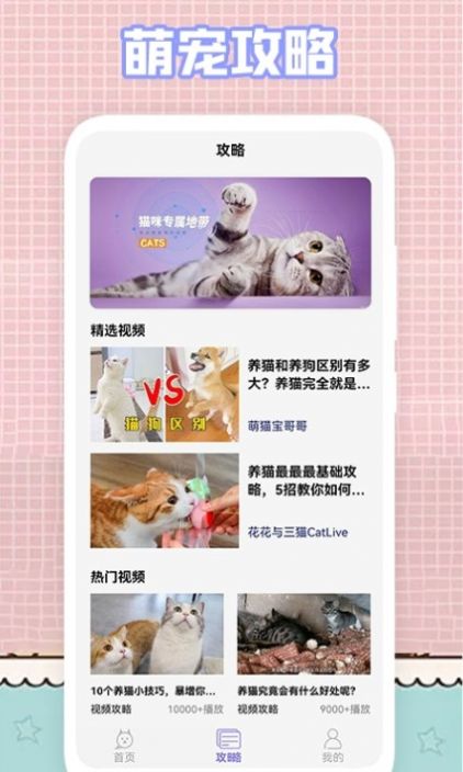 我的貓咪