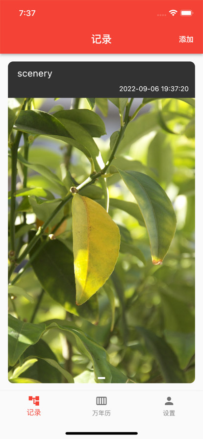 大師兄萬(wàn)年歷
