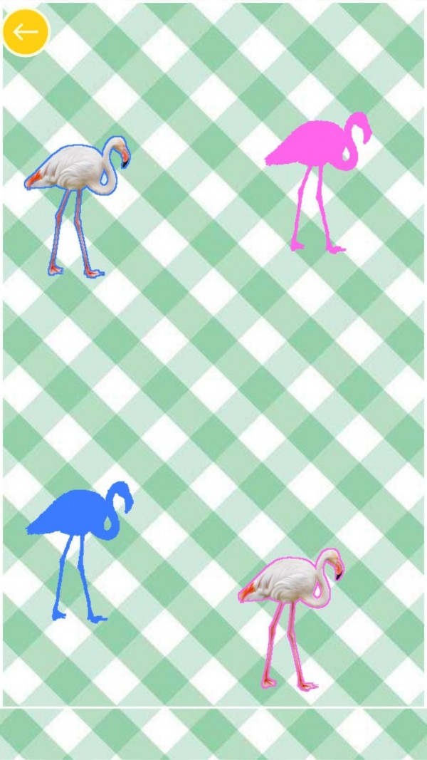 兒童學(xué)動物和顏色