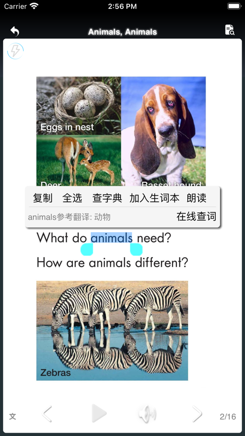 小白楊趣讀