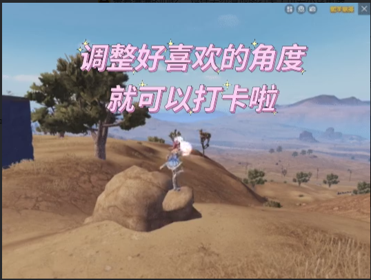 《和平精英》小烏龜打卡點(diǎn)位置介紹
