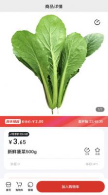 隨團購物