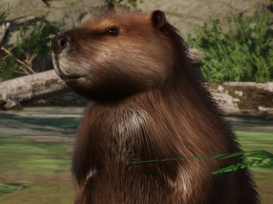 《動物園之星》增添歐亞河貍作為新物種MOD