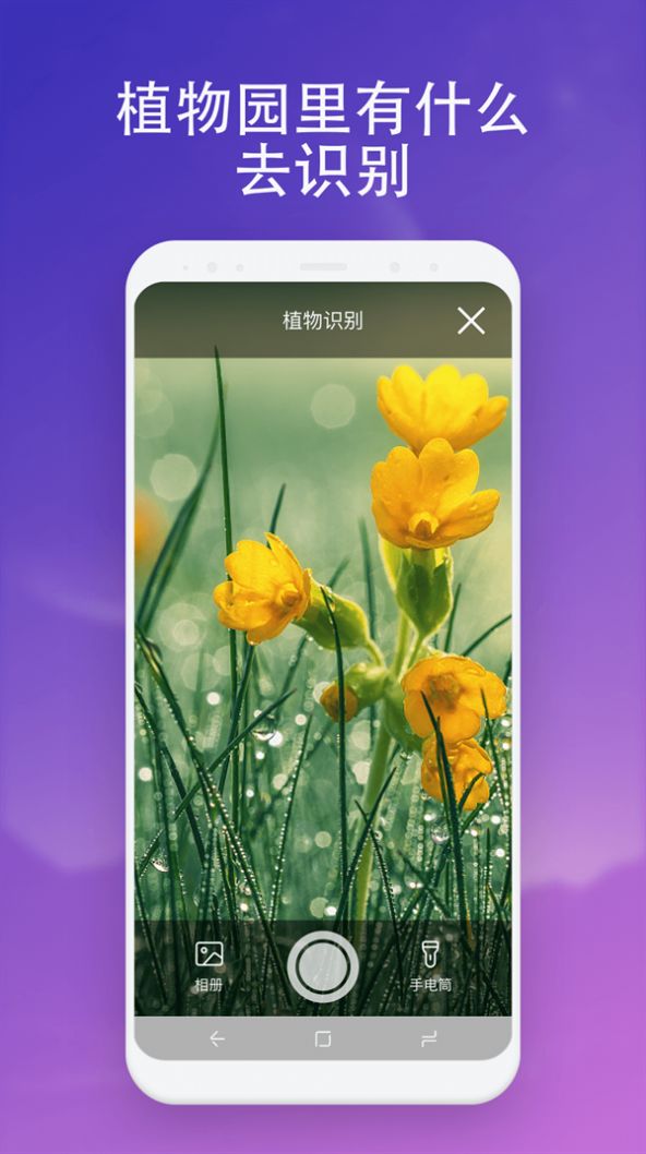 無垠掃描