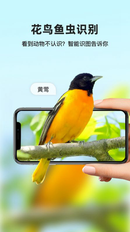 智能識圖