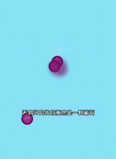水果樂翻天