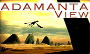 堅(jiān)定觀點(diǎn)