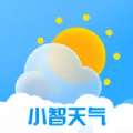 小智天氣預報