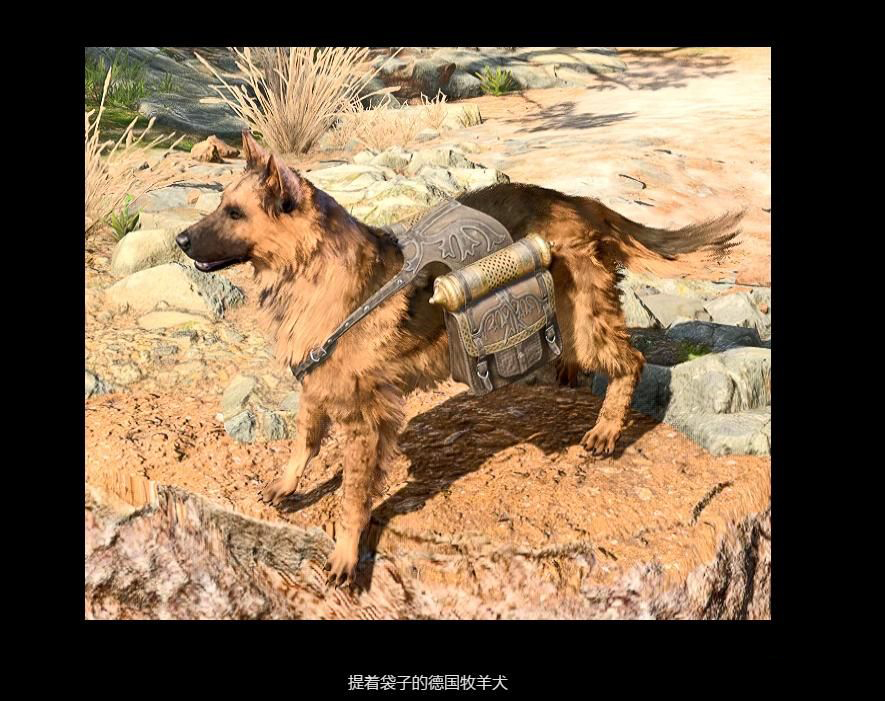《博德之門3》給撓撓增加了三款皮膚MOD