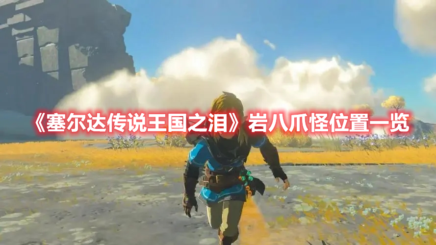 《塞爾達傳說王國之淚》巖八爪怪位置一覽