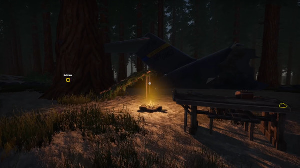 失蹤的飛機：生存