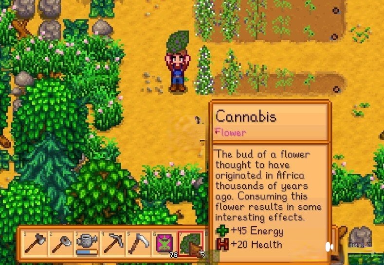 《星露谷物語》種植大XMOD