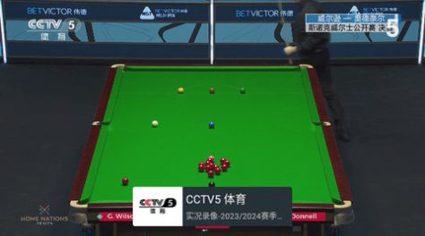 龍電視TV版