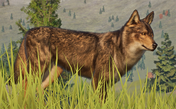 《動物園之星》增添新物種伊比利亞狼MOD[支持v1.13版]