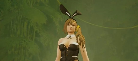 《師父》女性可扮演死或生兔女郎海咲MOD