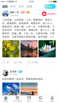 星塵之約