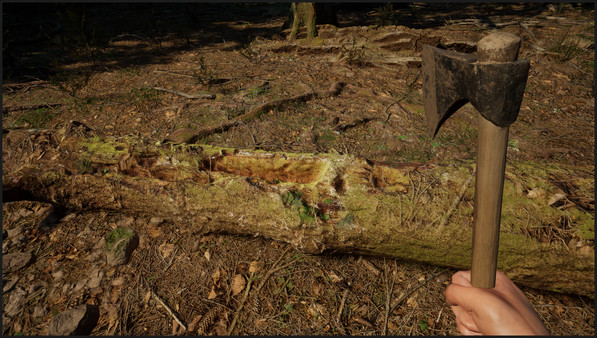 常青：山區(qū)生活模擬器