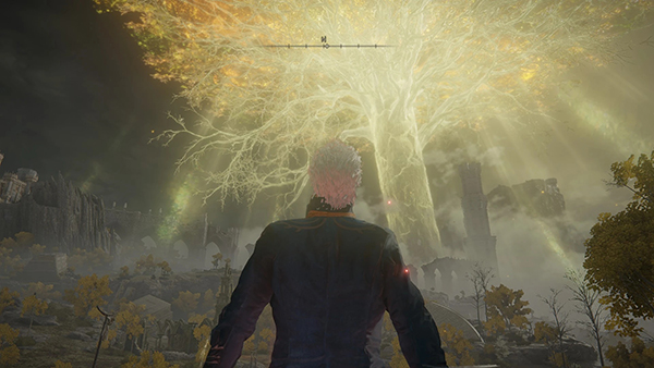 《艾爾登法環(huán)》維吉爾斯巴達人物MOD