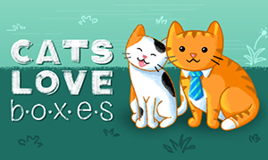 貓咪愛盒子