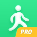 靈寶計步器專業版