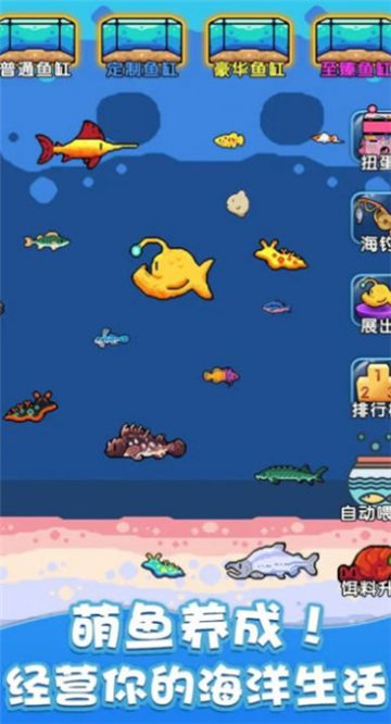 快來(lái)養(yǎng)魚(yú)